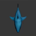 Realistic Blue Shark 3D Model With Detailed Features On Black Background 3d model