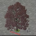 Arbor With Dark Purple Foliage Straight Trunk Green Base Gray Square Tiles Human Silhouette Scale