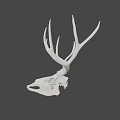 Realistic Detailed White Deer Skull With Large Antlers On Dark Background