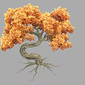 Vibrant Orange Leaf Shrub With Twisted Trunk And Exposed Roots 3d model