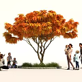 Beautiful Orange Red Leaf Tree With Families Enjoying Outdoor Activities On Green Lawn