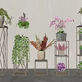Indoor Bonsai and Potted Plants Display With Metal Plant Stands and Various Greenery