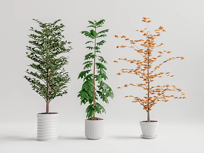 Modern potted plant potted landscape tree 3d model