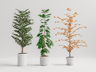 Modern potted plant potted landscape tree 3d model