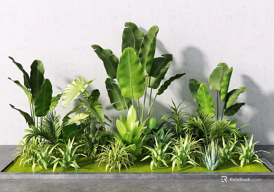 Various Green Plants With Large Leaves And Small Grasses In Modern Garden 3d model 