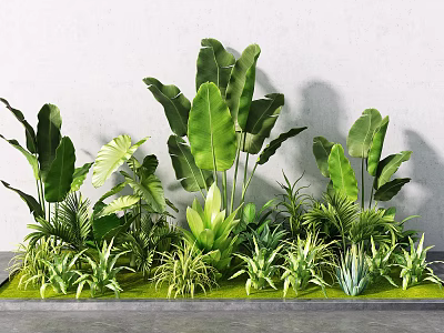 Various Green Plants With Large Leaves And Small Grasses In Modern Garden 3d model