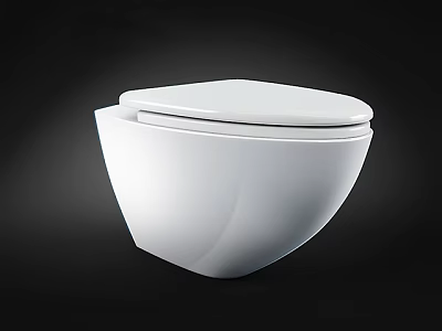 Modern White Toilet With Sleek Surface And Contemporary Curved Design 3d model