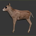 Cute Pinkish Fawn With Black Eye Patches Standing On Reflective Dark Surface