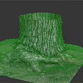Natural Wooden Stump With Detailed Bark Texture And Exposed Tree Roots In Stone Setting