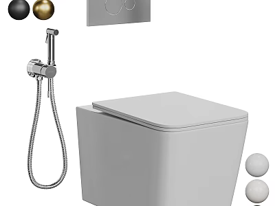 Modern White Toilet With Bidet Sprayer Flush Control Panel And Decorative Balls 3d model