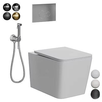 Modern White Toilet With Bidet Sprayer Flush Control Panel And Decorative Balls 3d model
