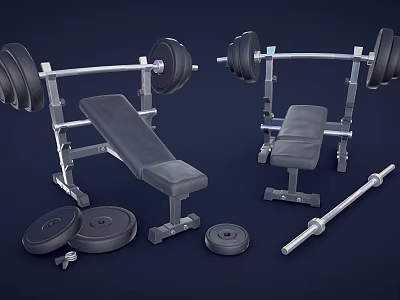 Essential Sports Equipment for Home Gym with Barbells Weight Benches Weight Plates and Barbell Bars 3d model