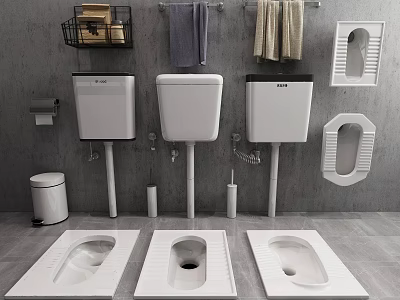 Three White Squat Toilets With Tanks In Modern Bathroom With Towel Racks 3d model