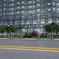 Urban Municipal Road With High Rise Buildings Trees Street Lamps Green Belt And White Railings