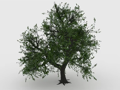 Lush Green Tree with Dense Foliage and Strong Trunk Standing Isolated on Light Background 3d model