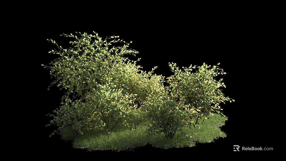 Lush Green Shrubs With Dense Foliage And Fresh Grass In Natural Garden 3d model 