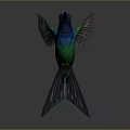 Flying Hummingbird With Blue And Green Feathers Spread Wings In Mid Flight