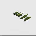 Fresh Green Chili Peppers Whole And Sliced Showing Inner Seeds
