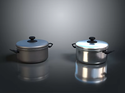 Stainless Steel Kitchen Pots With Lids And Handles For Daily Use 3d model
