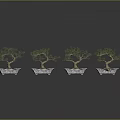 Four Bonsai Trees in Square Pots with Pebbles and Soil on Gray Background