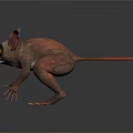 3D Rendered Unique Animal Crouching With Large Ears Orange Eyes And Slender Claws