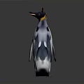 Two Penguins Standing Face to Face Interacting on White Background