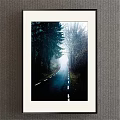 Misty Forest Road Landscape Painting with Winding Path Evergreen and Deciduous Trees White Center Lines