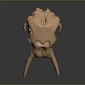 High Quality Copper Mammoth Skull Model For Medical Educational Training Purposes