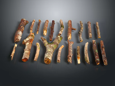 Natural Plant Branches With Various Shapes Sizes Brown Color And Green Moss On Dark Background 3d model