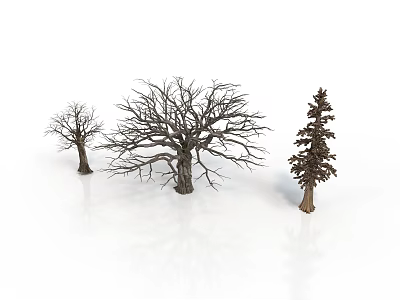 Three Trees In Different Sizes Featuring Two Leafless And One Green Pine Tree 3d model