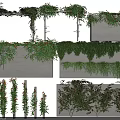 Climbing Decorative Vines With Green Leaves And Floral Accents On Wall And Frame Structures