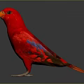 Vibrant Red Parrot Animal Painting With Orange Beak And Blue Wings On Black Background