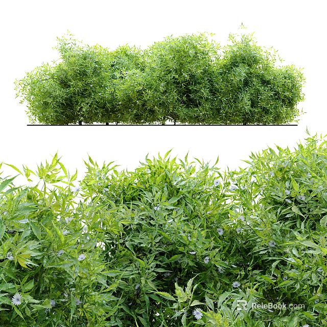 Lush Green Leafy Bushes With Small Flowers In Garden Landscape Design 3d model 