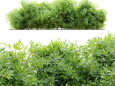 Lush Green Leafy Bushes With Small Flowers In Garden Landscape Design 3d model