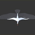 Modern Crane Ibis 3d model