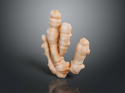 Fresh Ginger Root with Irregular Branched Shape Light Orange White Color and Natural Texture 3d model