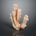 Fresh Ginger Root with Irregular Branched Shape Light Orange White Color and Natural Texture