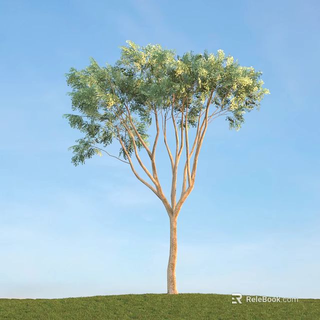 Tall Arbor With Lush Green Foliage And Multiple Branches Against Blue Sky 3d model 