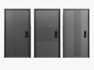 Modern Security Doors With Vertical Stripes And Dark Gray Finish For Home Safety 3d model