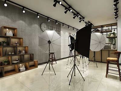 Professional Photography Studio Setup With Umbrella Reflectors Shelves And Potted Plants 3d model