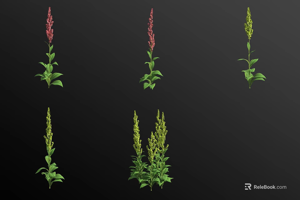 Vibrant Flowers and Plants with Red Green Spikes and Lush Green Leaves 3d model 