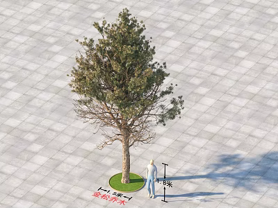 Arbor 4.5 Meters Tall On Square Tile Ground With Green Circular Area And Person Nearby 3d model
