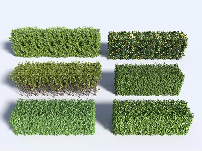 Different Varieties Of Trimmed Garden Shrubs With Green Foliage And Various Shapes For Landscaping 3d model