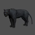 Realistic Black Reptile 3D Model Standing On Gray Background With Detailed Scales