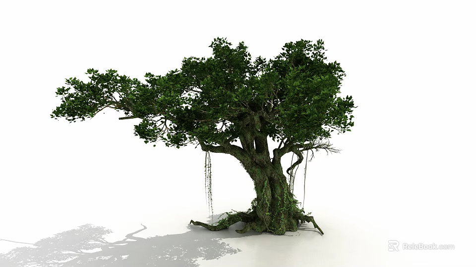 Large Arbor With Thick Trunk Strong Roots Green Leaves And Hanging Vines 3d model 