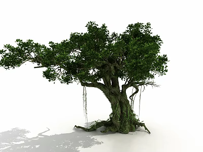 Large Arbor With Thick Trunk Strong Roots Green Leaves And Hanging Vines 3d model