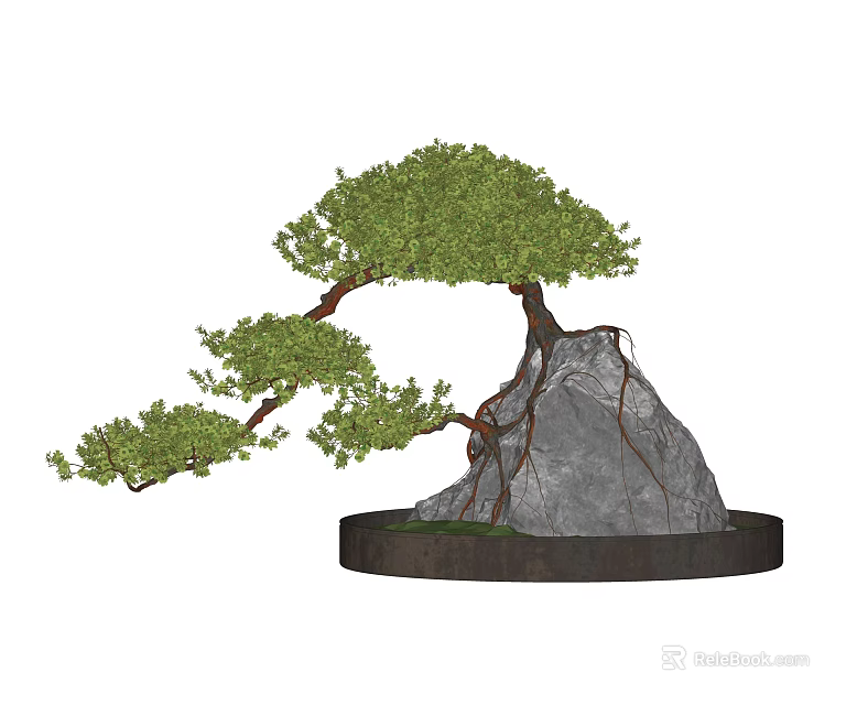 Bonsai Plant With Curved Trunk Green Foliage And Stone Base On Round Platform 3d model 