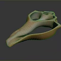 Glossy Orange Aquatic Animal Shell With Unique Curved Shape And Smooth Textured Surface
