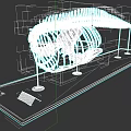 Aquatic Animal Skeleton Display On White Platform For Museum Exhibition