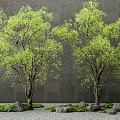 Modern landscape tree arbor courtyard tree modeling tree moss stone landscape sketch 3d model